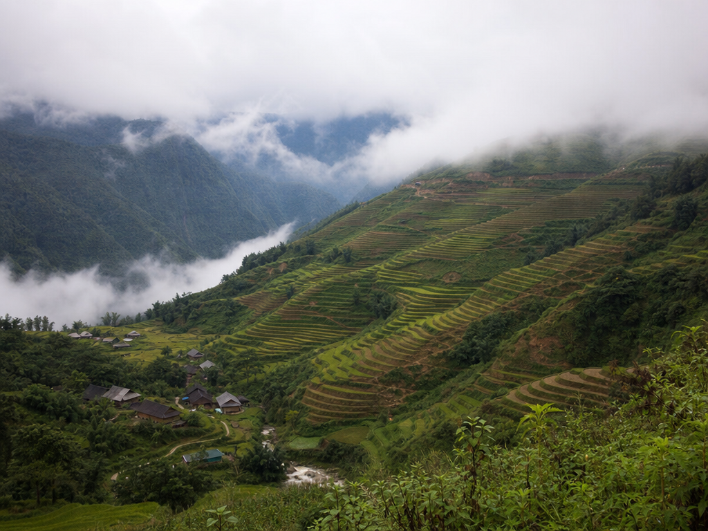 sapa-rice-terraces-mist