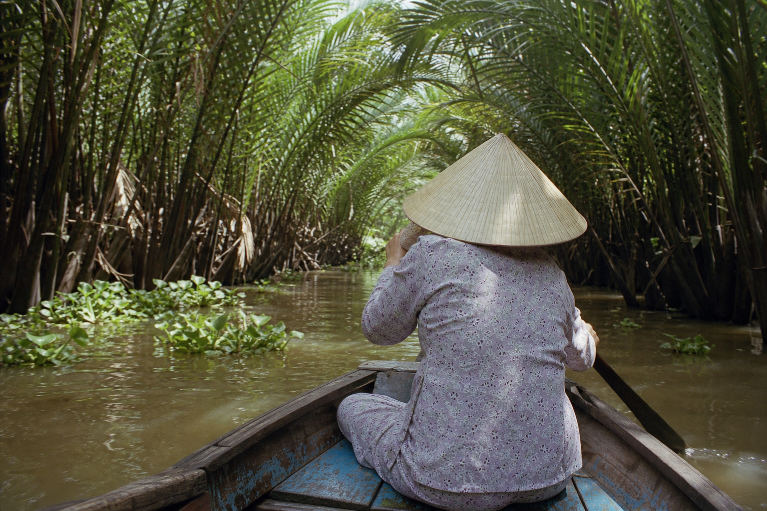 Wooden sampan rowed through a narrow coconut palm canal in the Mekong Delta near Can Tho