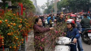 Tet flower market with potted kumquat trees and pink peach blossom branches loaded onto motorbikes